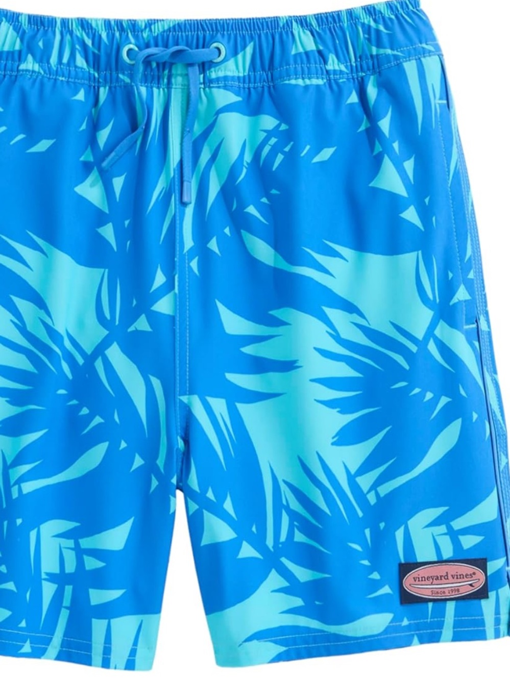 Boys Vineyard Vines Swim Trunks - Picture 2 of 5